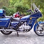GL 1100 I -81